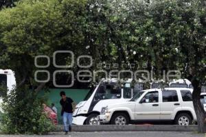 DÍA DEL ARBOL