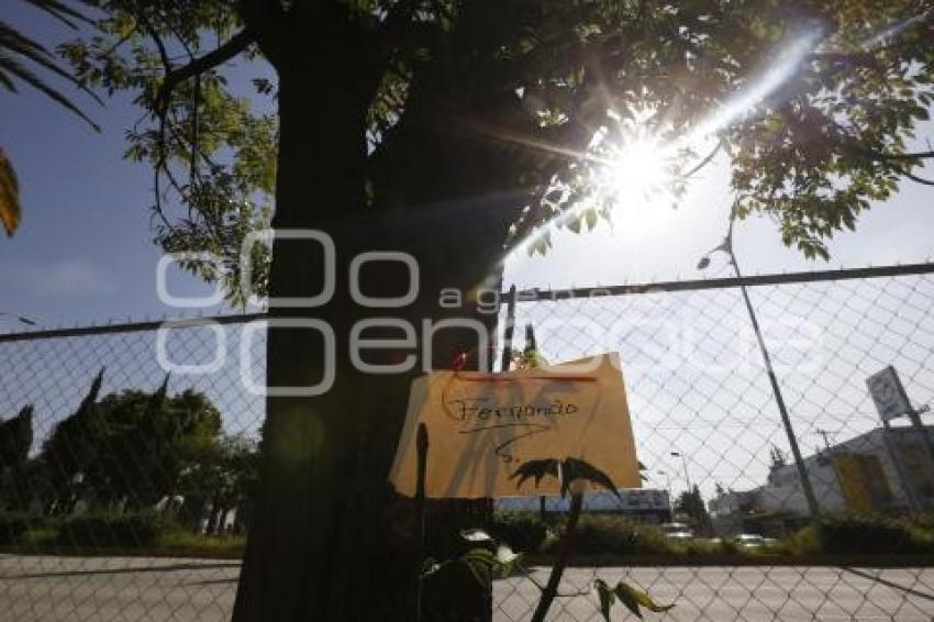 MANIFESTACIÓN PRO ARBOLES . BULEVAR HERMANOS SERDÁN