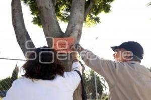 MANIFESTACIÓN PRO ARBOLES . BULEVAR HERMANOS SERDÁN