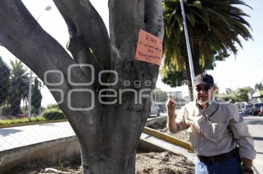 MANIFESTACIÓN PRO ARBOLES . BULEVAR HERMANOS SERDÁN