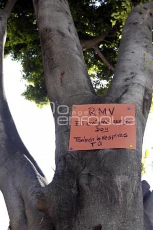 MANIFESTACIÓN PRO ARBOLES . BULEVAR HERMANOS SERDÁN