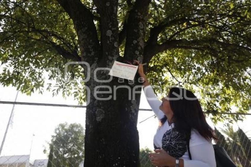 MANIFESTACIÓN PRO ARBOLES . BULEVAR HERMANOS SERDÁN