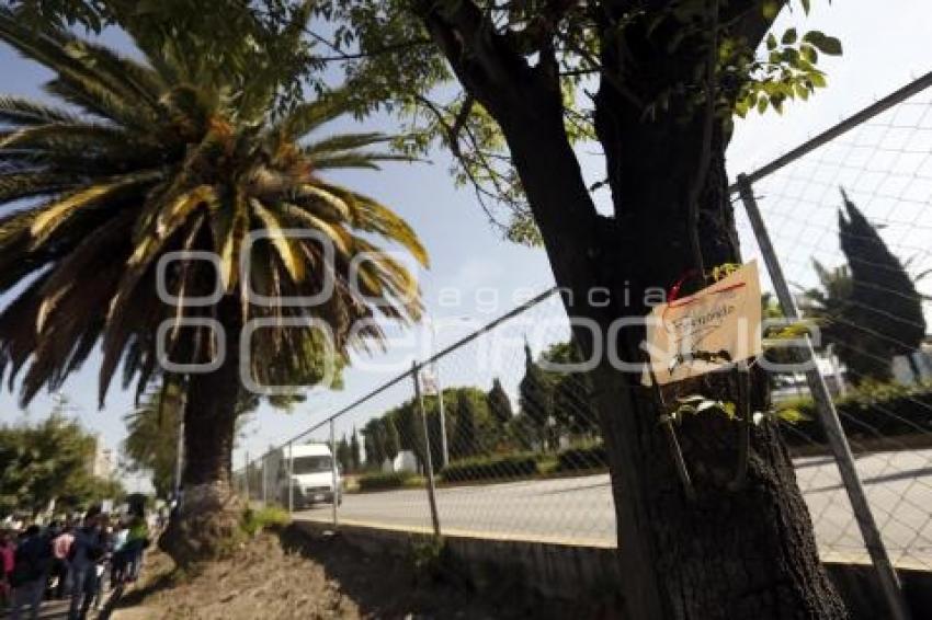 MANIFESTACIÓN PRO ARBOLES . BULEVAR HERMANOS SERDÁN