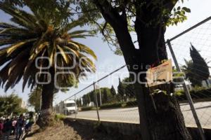 MANIFESTACIÓN PRO ARBOLES . BULEVAR HERMANOS SERDÁN