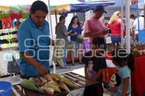 VIRGEN DEL CARMEN . FERIA