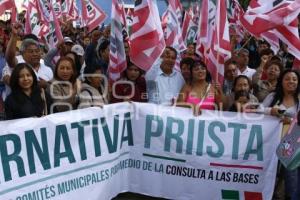 COMITE COORDINADOR DE ALTERNATIVA PRIISTA