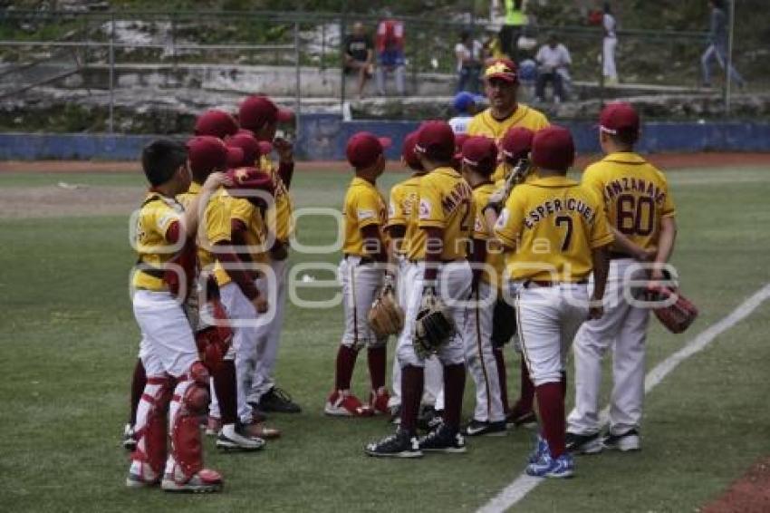 BEISBOL. CAMPEONATO NACIONAL NUEVOS TALENTOS