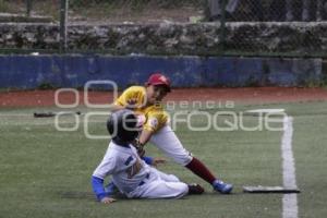 BEISBOL. CAMPEONATO NACIONAL NUEVOS TALENTOS