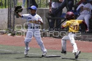 BEISBOL. CAMPEONATO NACIONAL NUEVOS TALENTOS