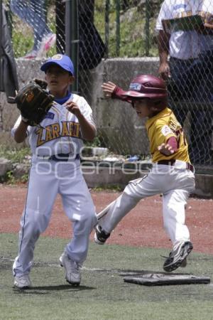 BEISBOL. CAMPEONATO NACIONAL NUEVOS TALENTOS