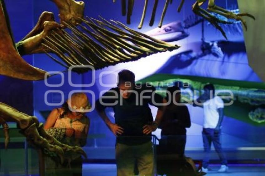 MUSEO DE LA EVOLUCIÓN . TURISMO