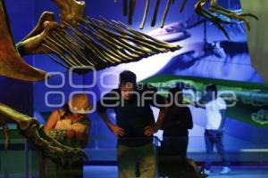 MUSEO DE LA EVOLUCIÓN . TURISMO