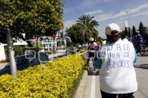 RODADA . CICLOVÍA HERMANOS SERDÁN