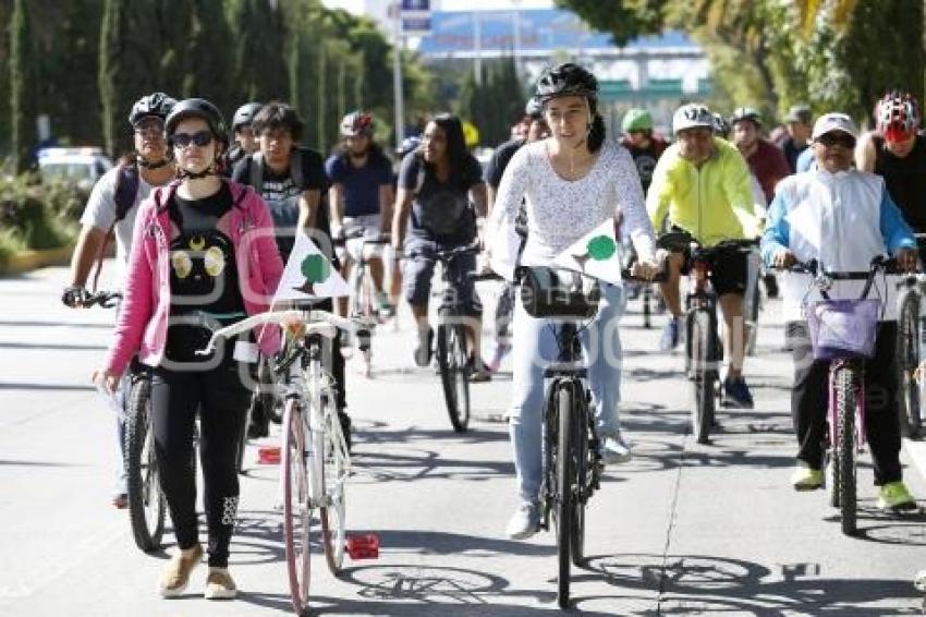 RODADA . CICLOVÍA HERMANOS SERDÁN