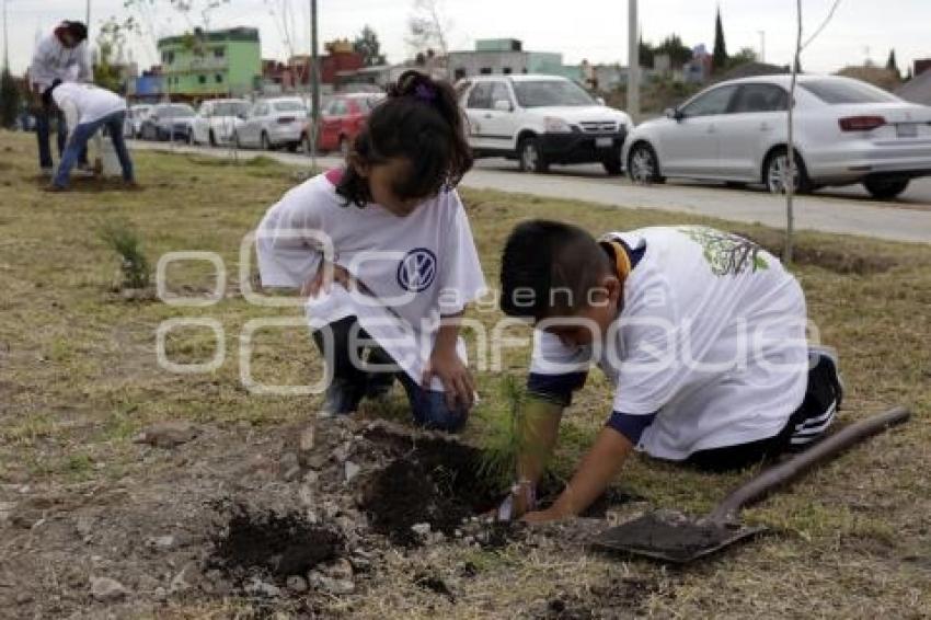 SITIAVW . CAMPAÑA REFORESTACIÓN