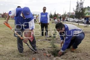 SITIAVW . CAMPAÑA REFORESTACIÓN