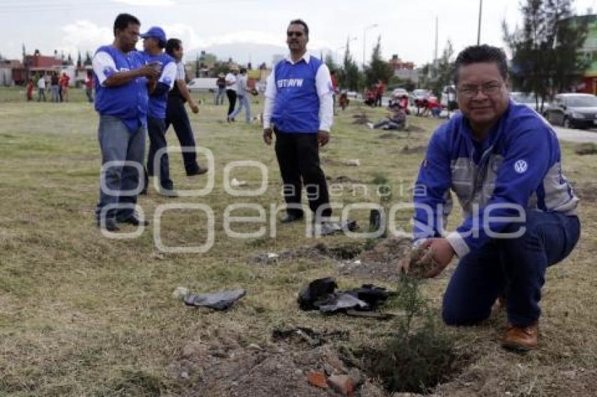 SITIAVW . CAMPAÑA REFORESTACIÓN