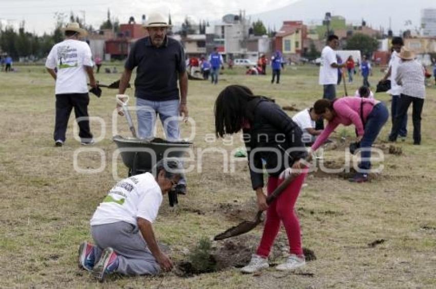 SITIAVW . CAMPAÑA REFORESTACIÓN