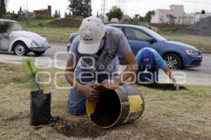 SITIAVW . CAMPAÑA REFORESTACIÓN