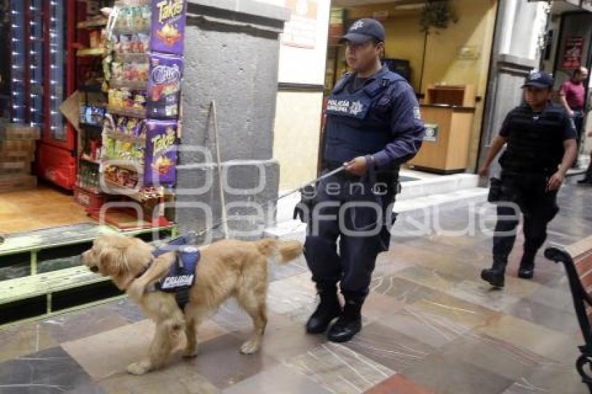 SEGURIDAD . ZOCALO