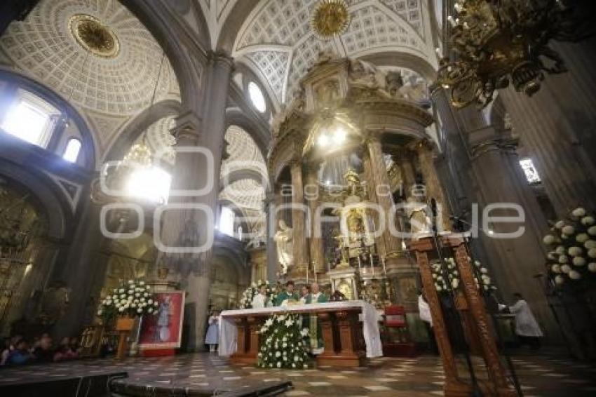 MISA DOMINICAL . CATEDRAL