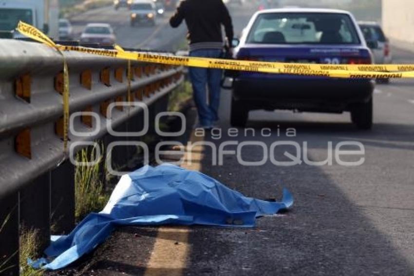 ATROPELLADO AUTOPISTA PUEBLA-ORIZABA