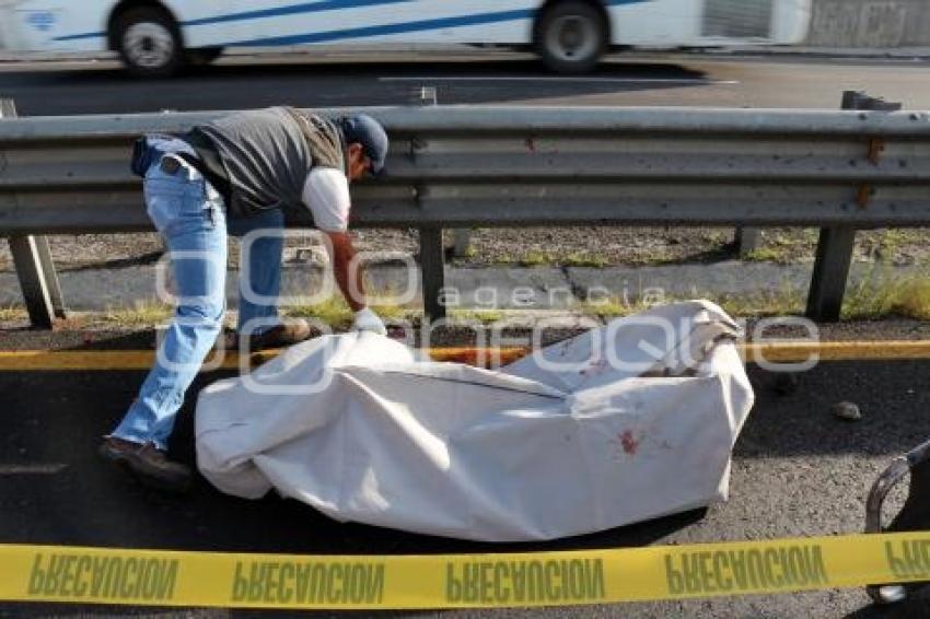 ATROPELLADO AUTOPISTA PUEBLA-ORIZABA