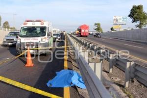 ATROPELLADO AUTOPISTA PUEBLA-ORIZABA
