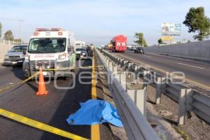 ATROPELLADO AUTOPISTA PUEBLA-ORIZABA