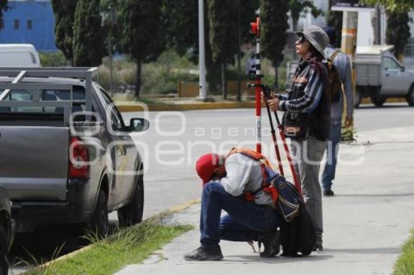 CICLOVÍA HERMANOS SERDÁN . ÁRBOLES