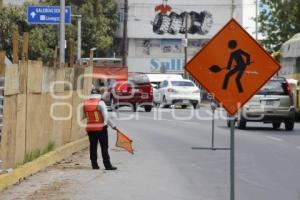 CICLOVÍA HERMANOS SERDÁN . ÁRBOLES