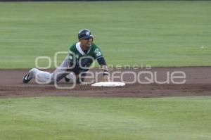 BÉISBOL . PERICOS VS DELFINES