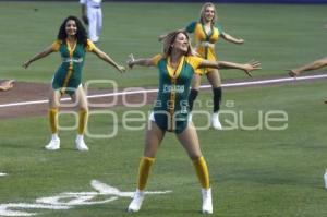 BÉISBOL . PERICOS VS DELFINES