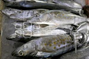 MERCADO DE PESCADOS Y MARISCOS