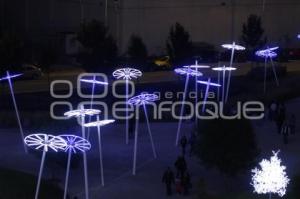 INAUGURACIÓN ILUMINACIÓN DE ALTURA