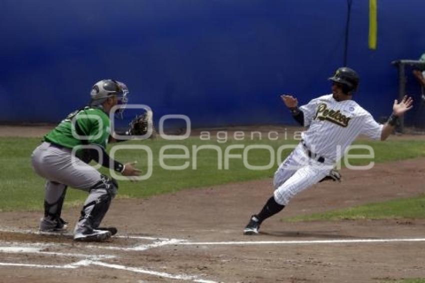 BÉISBOL . PERICOS VS DELFINES