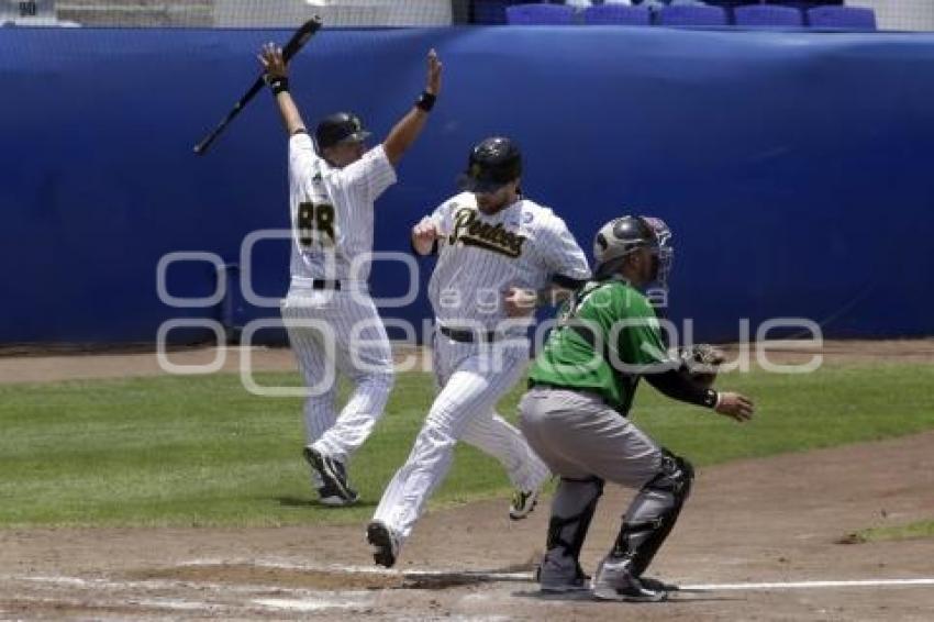 BÉISBOL . PERICOS VS DELFINES