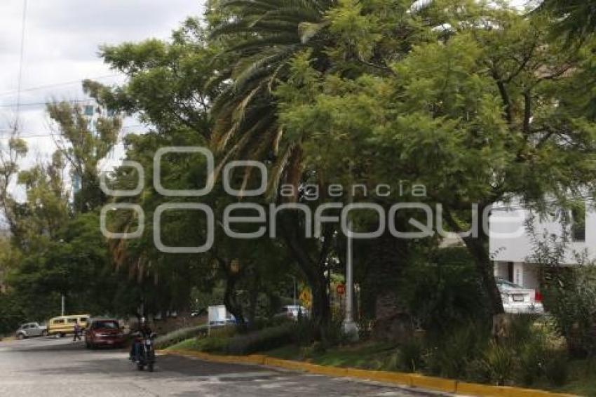 CIUDAD DE PUEBLA . ÁREAS VERDES