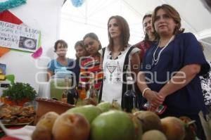 FERIA DEL CHILE EN NOGADA . CHOLULA