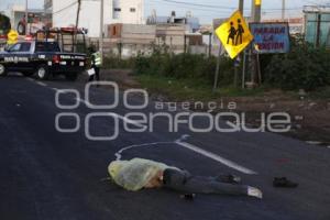NOTA ROJA . ATROPELLADO