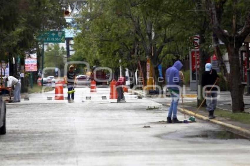 PAVIMENTACIÓN BULEVAR NIÑO POBLANO