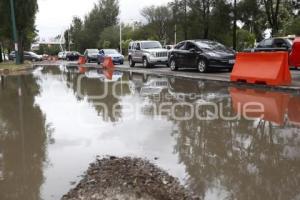 PAVIMENTACIÓN BULEVAR NIÑO POBLANO