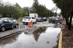 PAVIMENTACIÓN BULEVAR NIÑO POBLANO