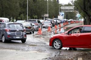 PAVIMENTACIÓN BULEVAR NIÑO POBLANO
