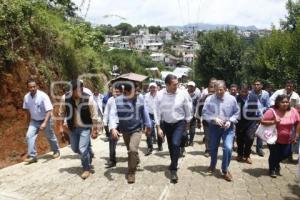 AFECTACIONES POR EARL . HUAUCHINANGO