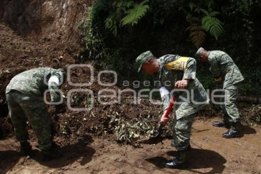 AFECTACIONES POR EARL . HUAUCHINANGO