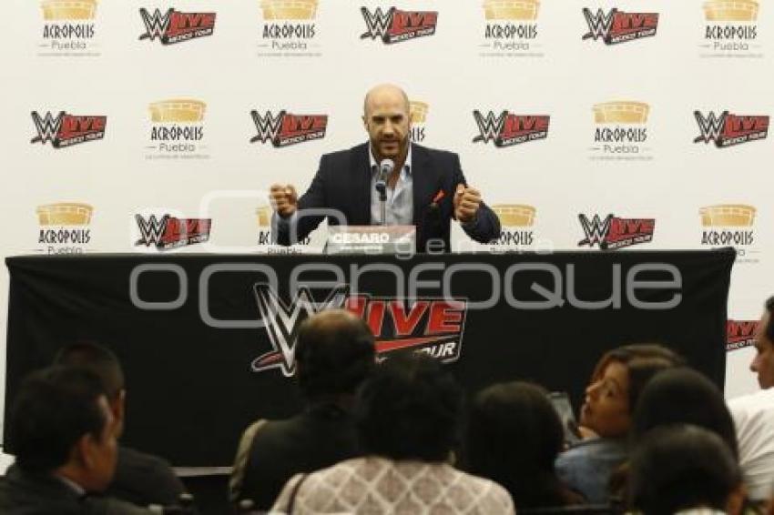 WWE LIVE . CESARO