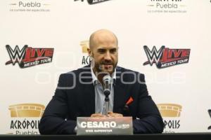 WWE LIVE . CESARO