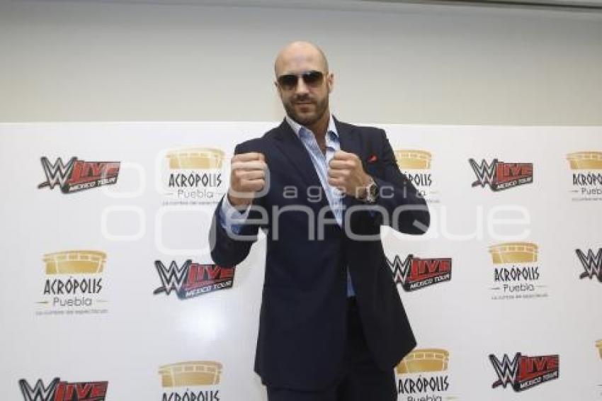 WWE LIVE . CESARO