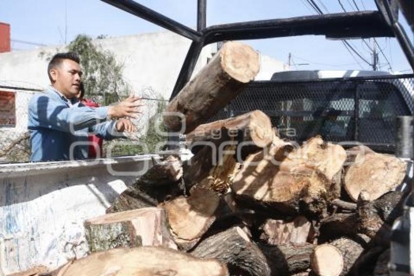 CAÍDA DE ÁRBOL EN REFORMA SUR